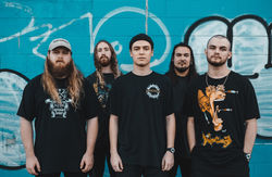 knockedloose